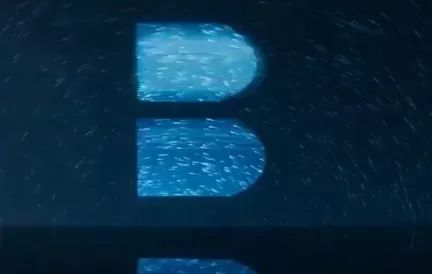 鞋王百丽最新视频,中国鞋王百丽