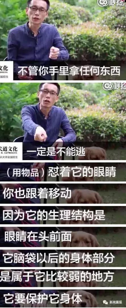 遛狗不牵绳算野狗吗,遛狗不牵狗绳咬伤别人怎么办