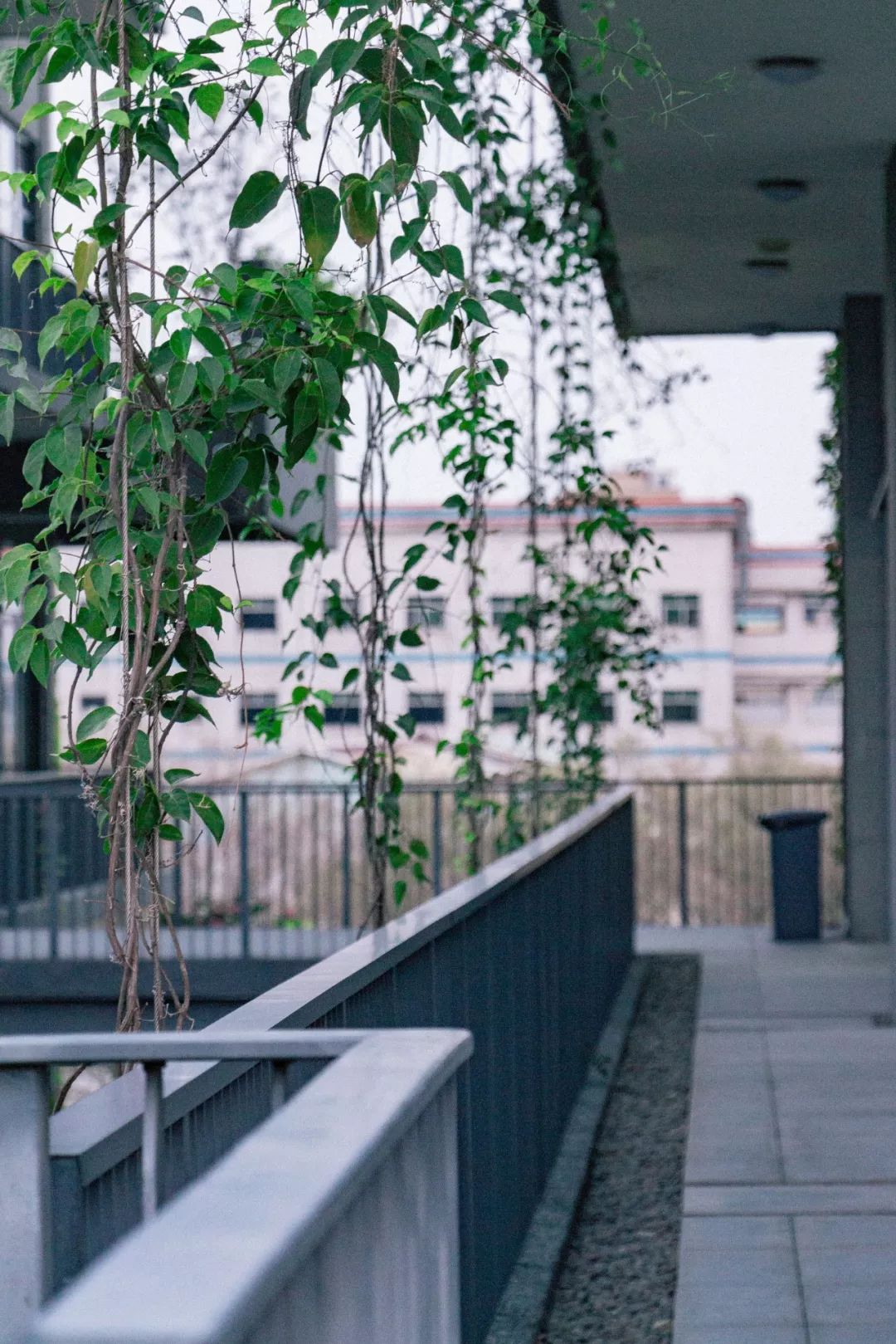 深圳宝安喝茶的世外桃源,宝安西乡世外桃源