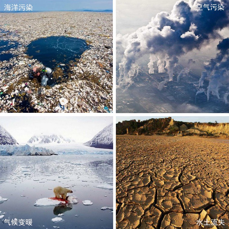 写在“世界环境日”，开洋木门助力解决室内三大污染源