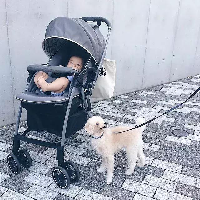 日本妈妈必买的产品,盘点买过的鸡肋母婴产品