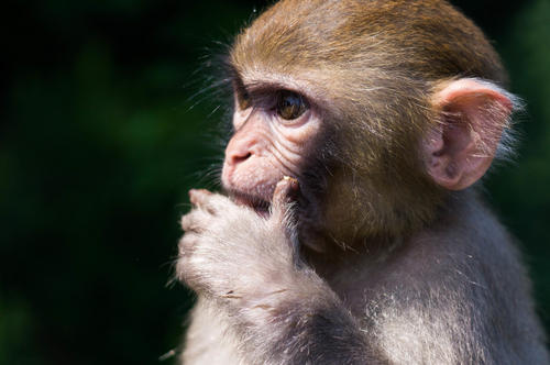 白手起家成为百万富翁的21个秘诀,白手起家的50个创富传奇