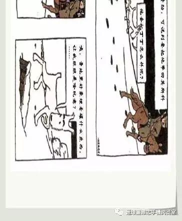 丁丁和丁丁历险记论文,丁丁历险记丁丁的服装