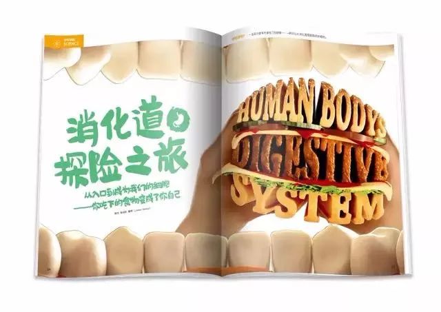 班主任推荐的书目,班主任方面的杂志推荐