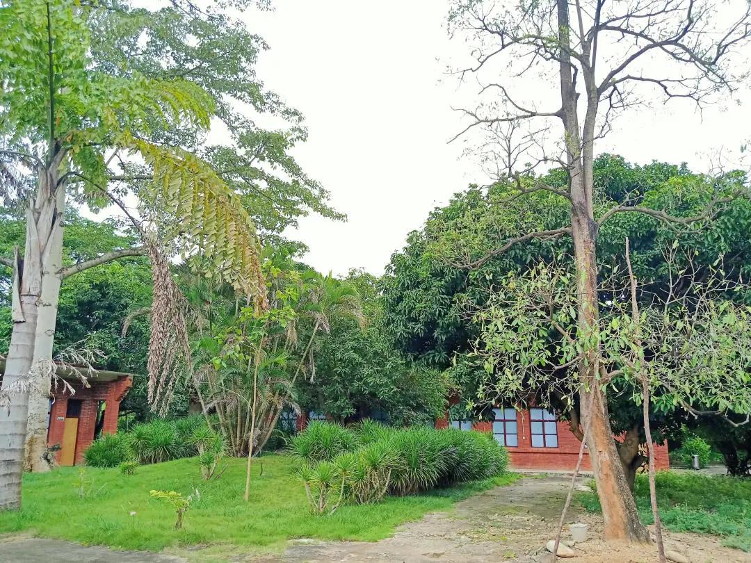 cop15的保护动物有哪些,cop15网红绿植