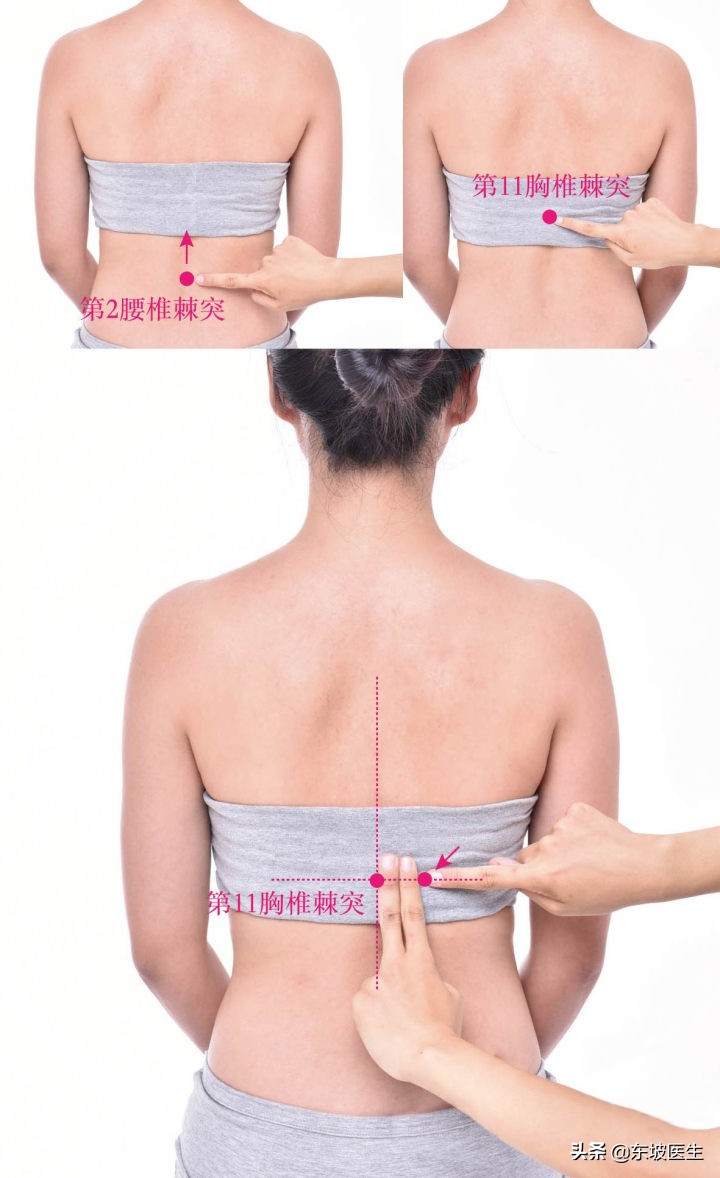 虚胖湿气重按哪个穴位好,湿气重水肿虚胖怎么消除