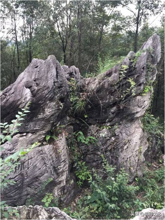 张家界慈利新项目,张家界慈利江垭的新项目