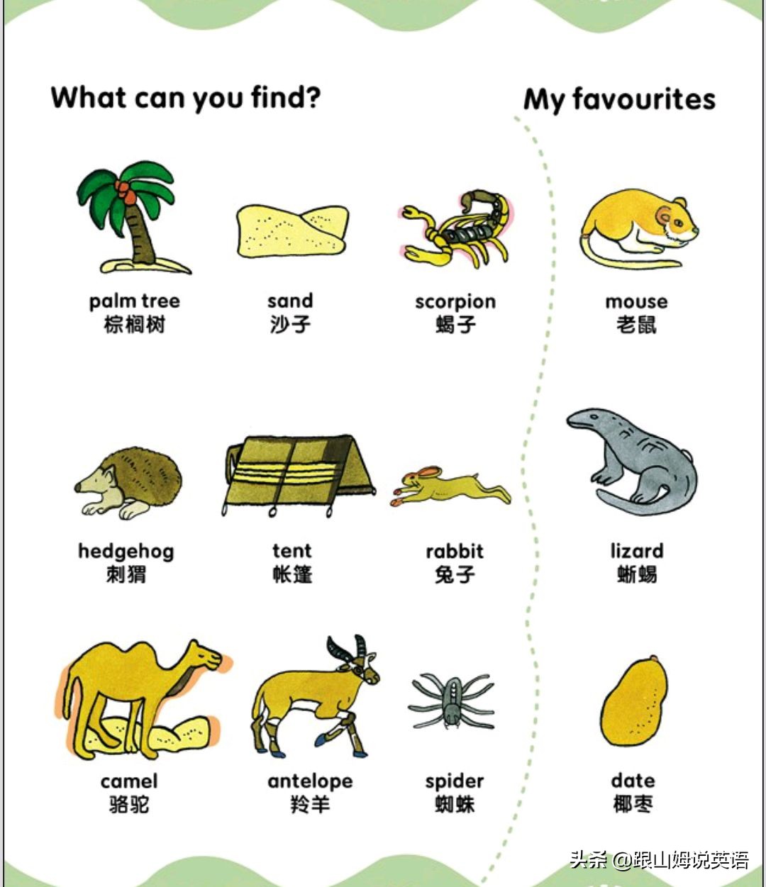 90幅图速记1000个初中英语单词,90幅图轻松记1000个单词