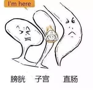 漫画详解子宫肌瘤是个啥？