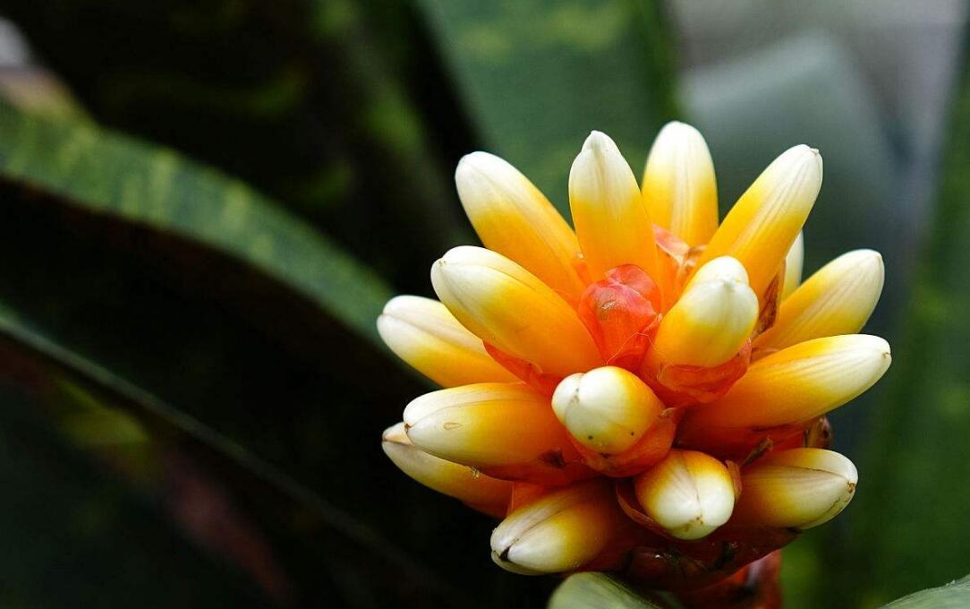 人到三十还没有成就,人到三十没钱忽然需要钱怎么办