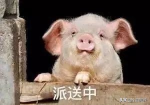 麒麟970和魅族16骁龙845哪个更好,骁龙845版魅族16