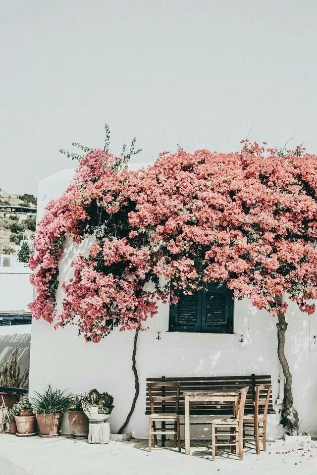 让情绪流动起来，才是“减龄”的密钥