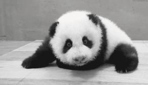 不用姨妈巾的后果,大姨妈来了又没戴姨妈巾怎么解决