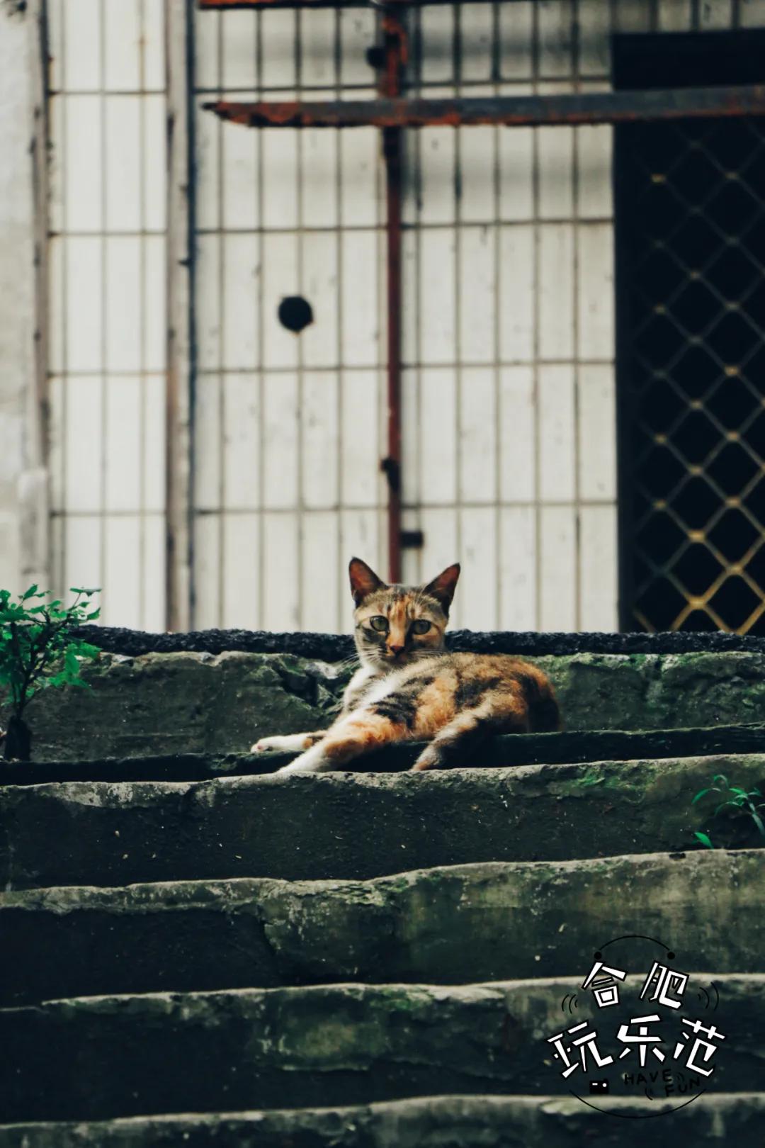 观银河,看银河听风吟的视频