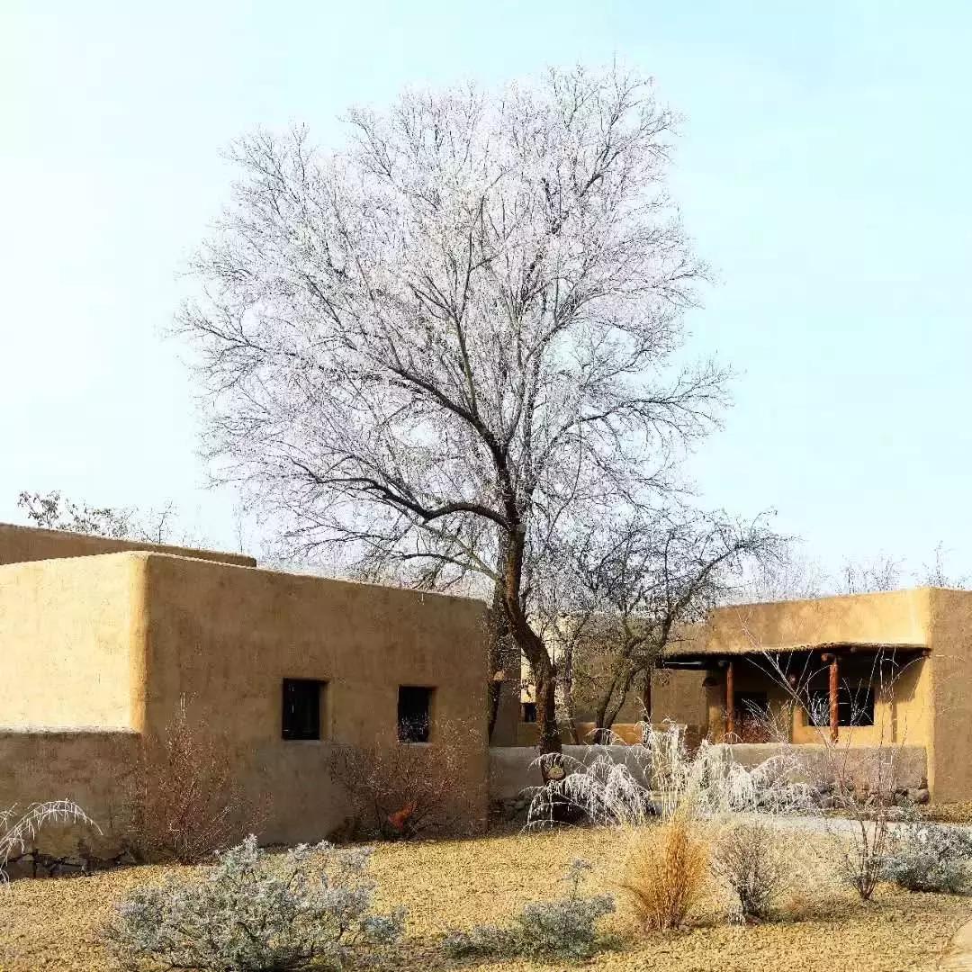 冬季去中卫黄河宿集民宿,中卫黄河宿集民宿多少钱