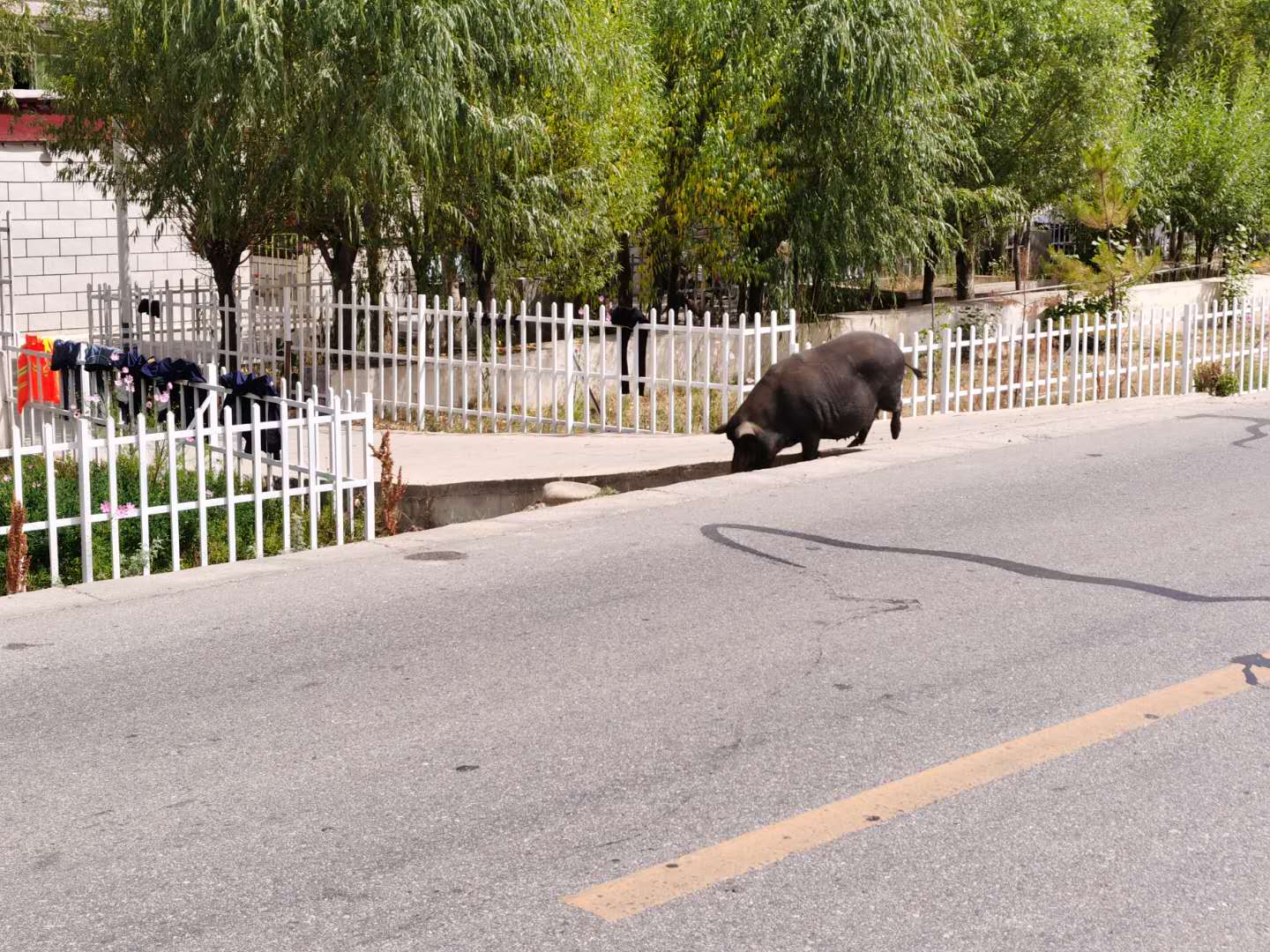 鬼哥的五万里D57说说印度这样的邻居-2（山南市-加查县）