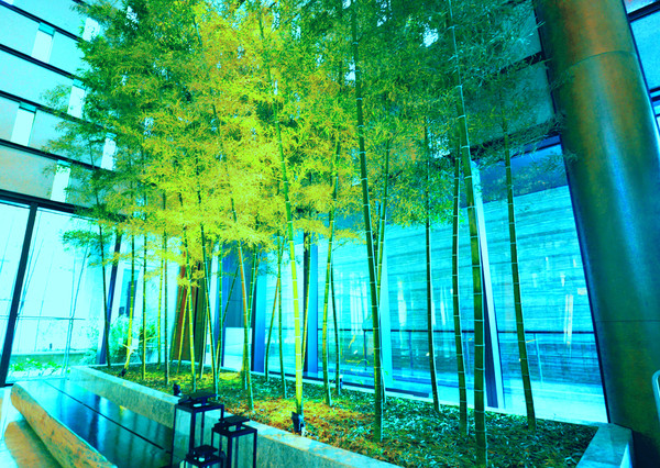 蒋介石在南京的旧居内景,蒋介石华清宫旧居照片