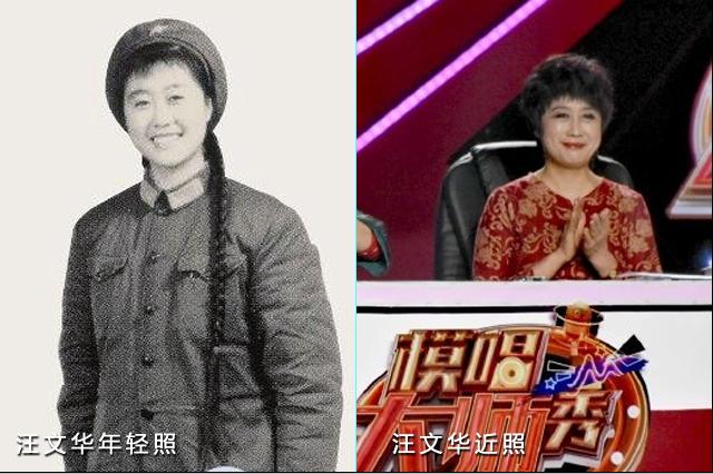 央视退休主持人今昔对比,高逸峰倪萍赵忠祥杨澜鲁豫访谈