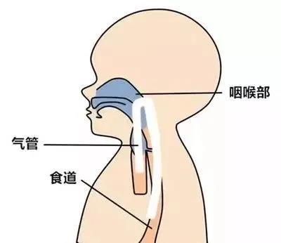 宝宝呛奶怎么安抚宝妈,宝宝呛奶后的急救处理育婴师