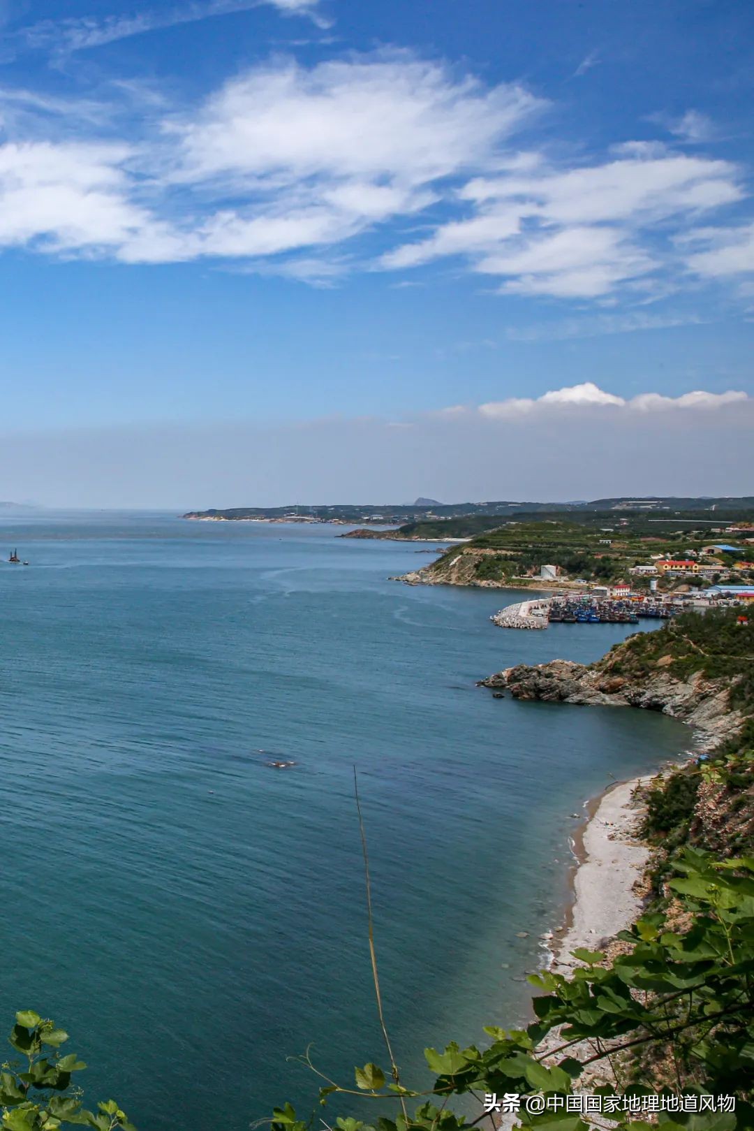 东北振兴大连地位突出,东北龙头大连