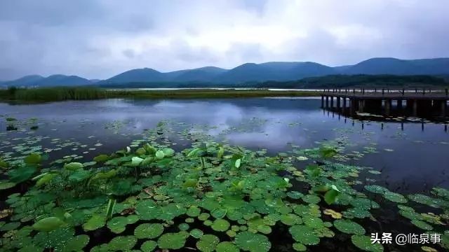 最新安徽61县市经济实力排行榜!临泉排名前列!