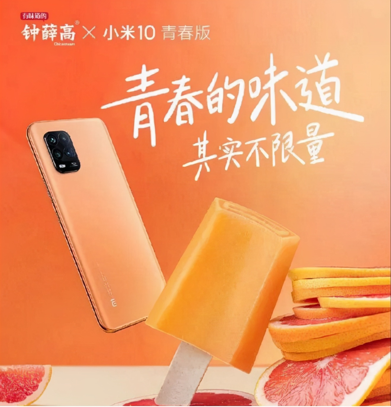 钟薛高除了雪糕还卖什么,钟薛高为啥要和普通雪糕放一起卖