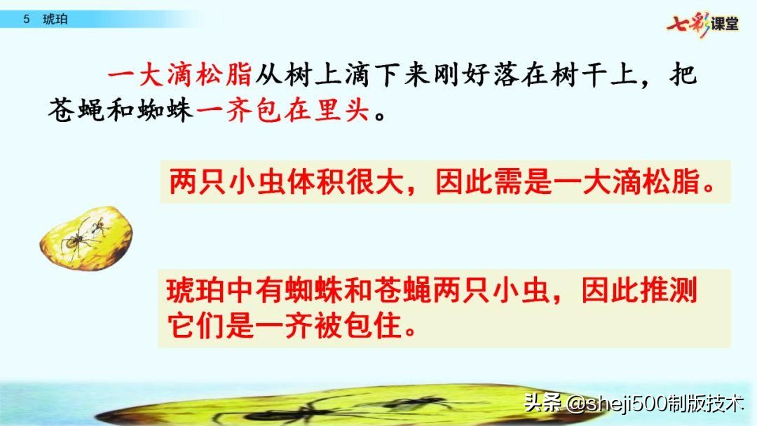 四年级语文下册第5课琥珀知识点,语文书四年级下册琥珀预习分段