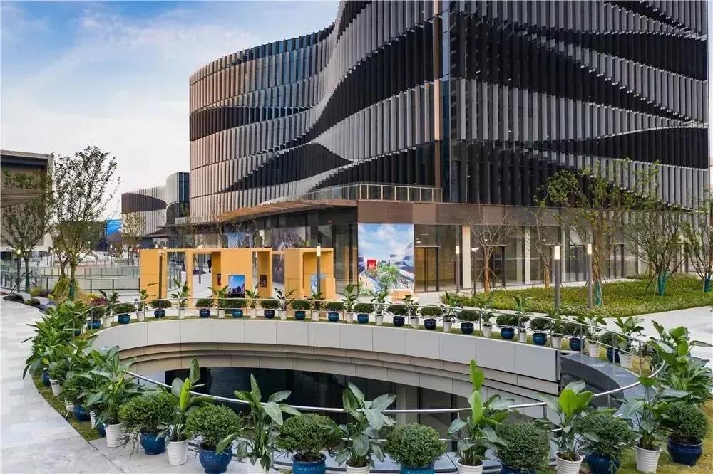 活久见2,活久见上海街头