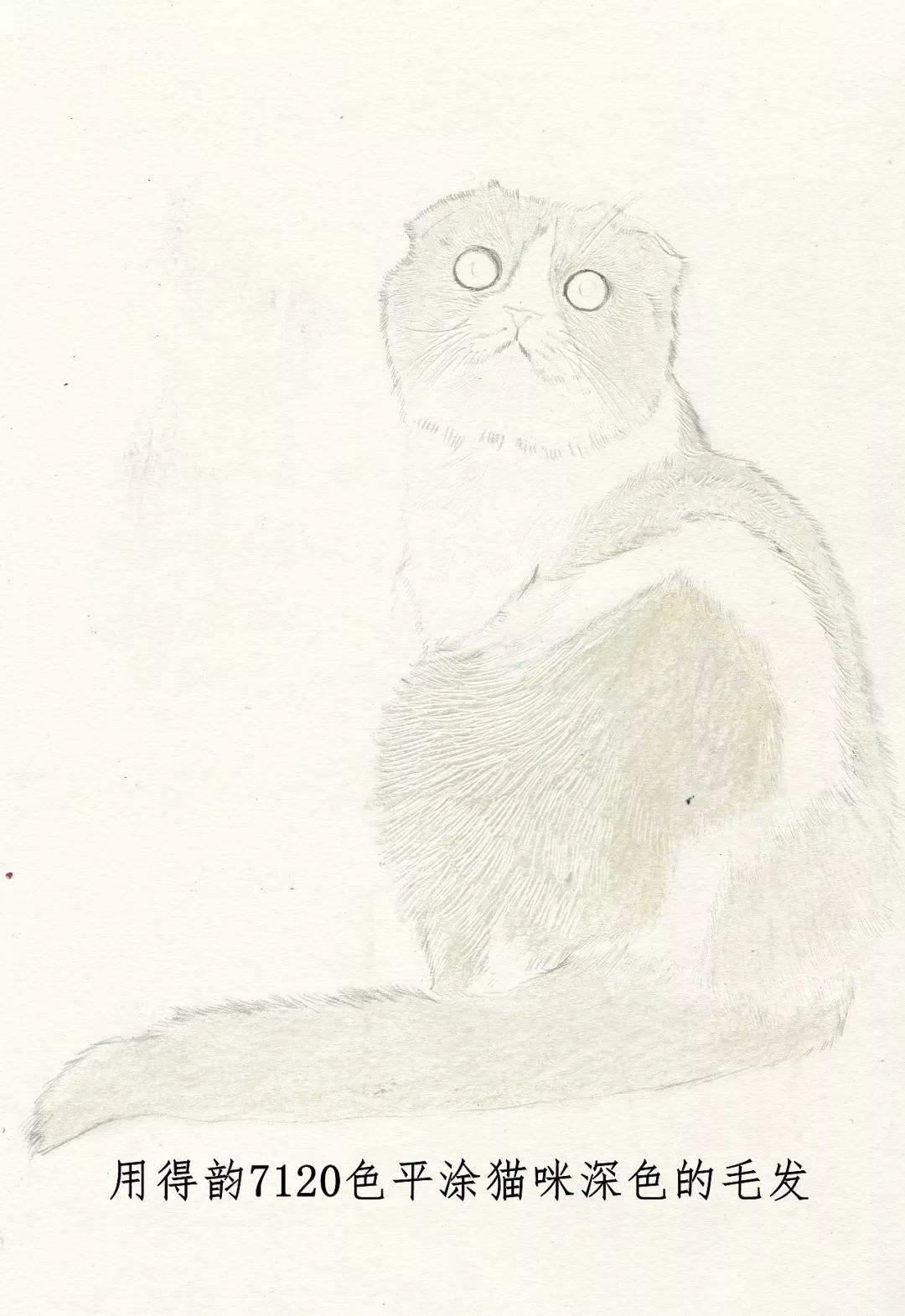 素描动物入门知识,素描动物简单入门教程狗