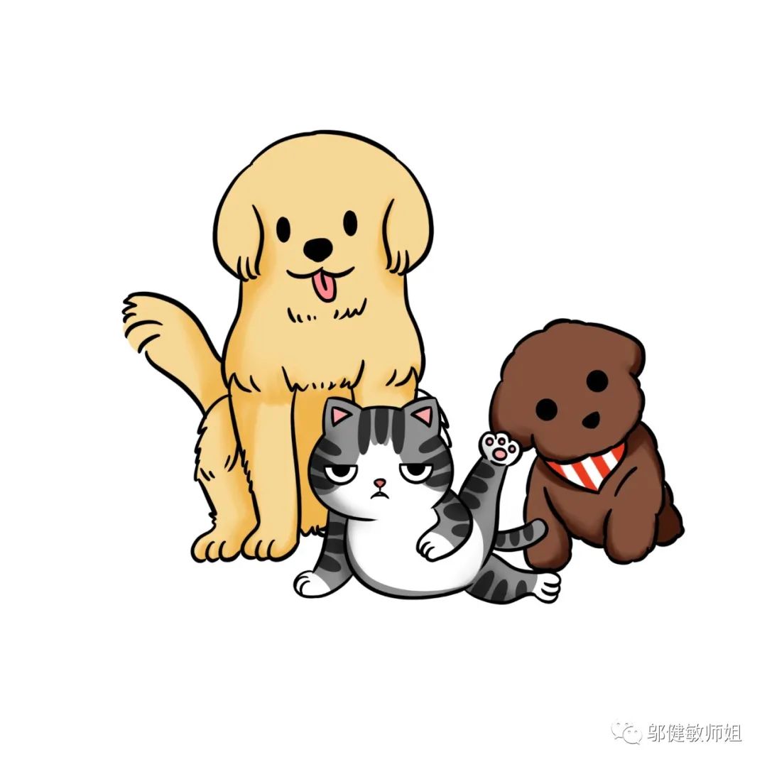 为什么现在开个宠物店那么难,宠物店不会告诉你的行业内幕