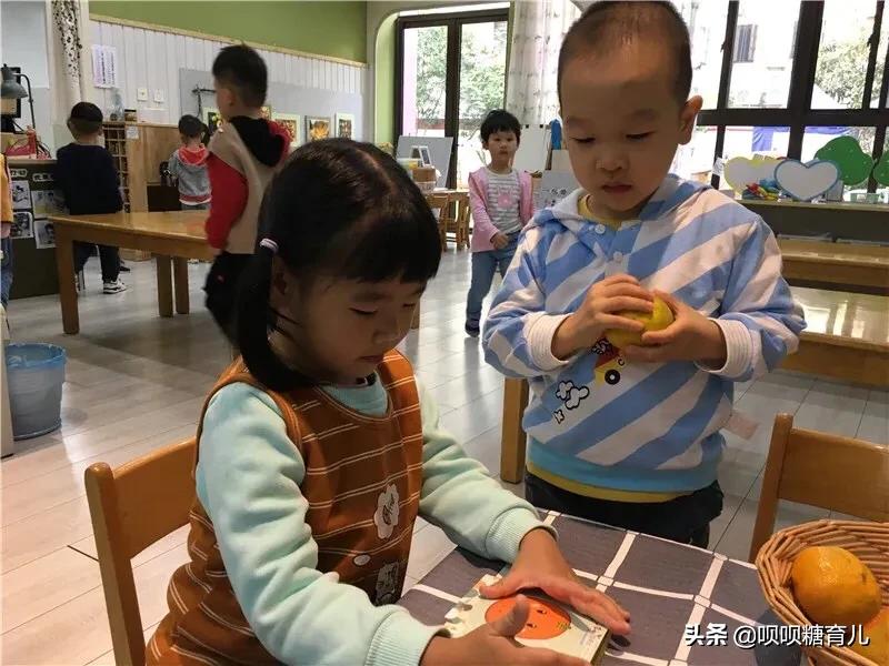 小班课程故事《好吃的桔子》