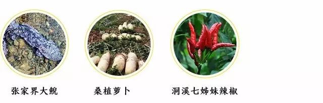 湖南省第五批国家级非遗保护名单,湖南省重点商标保护名录名单