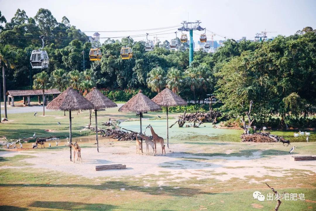 长隆飞鸟乐园怎么去长隆欢乐世界,汉溪长隆地铁站去长隆飞鸟乐园