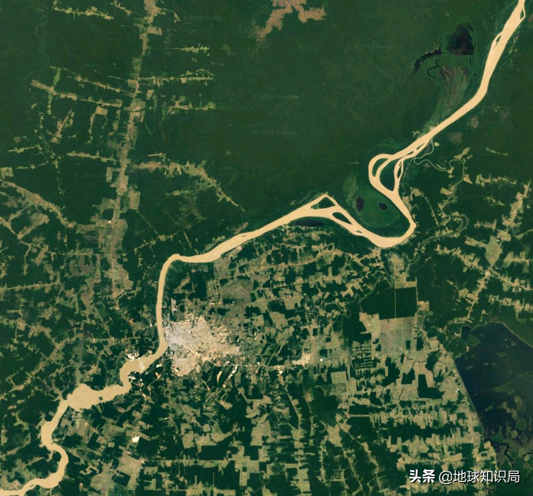 巴西最近有什么事件,巴西发生的有趣事情