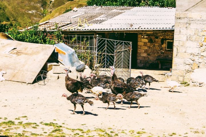 五一冷门小众旅游目的地,十大必去小众深度目的地