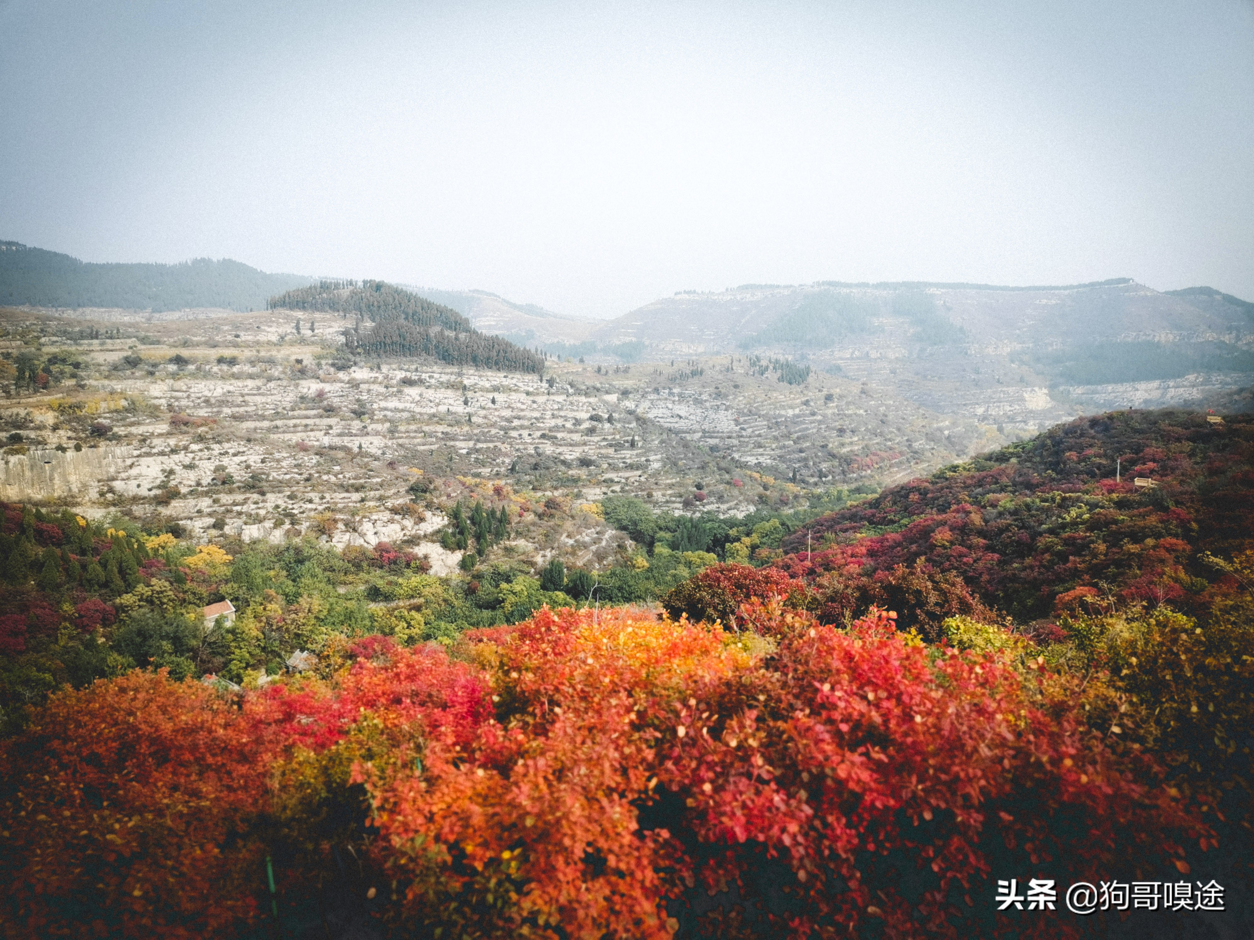 淄博避暑野餐哪里好玩,淄博夏天山里好玩的地方