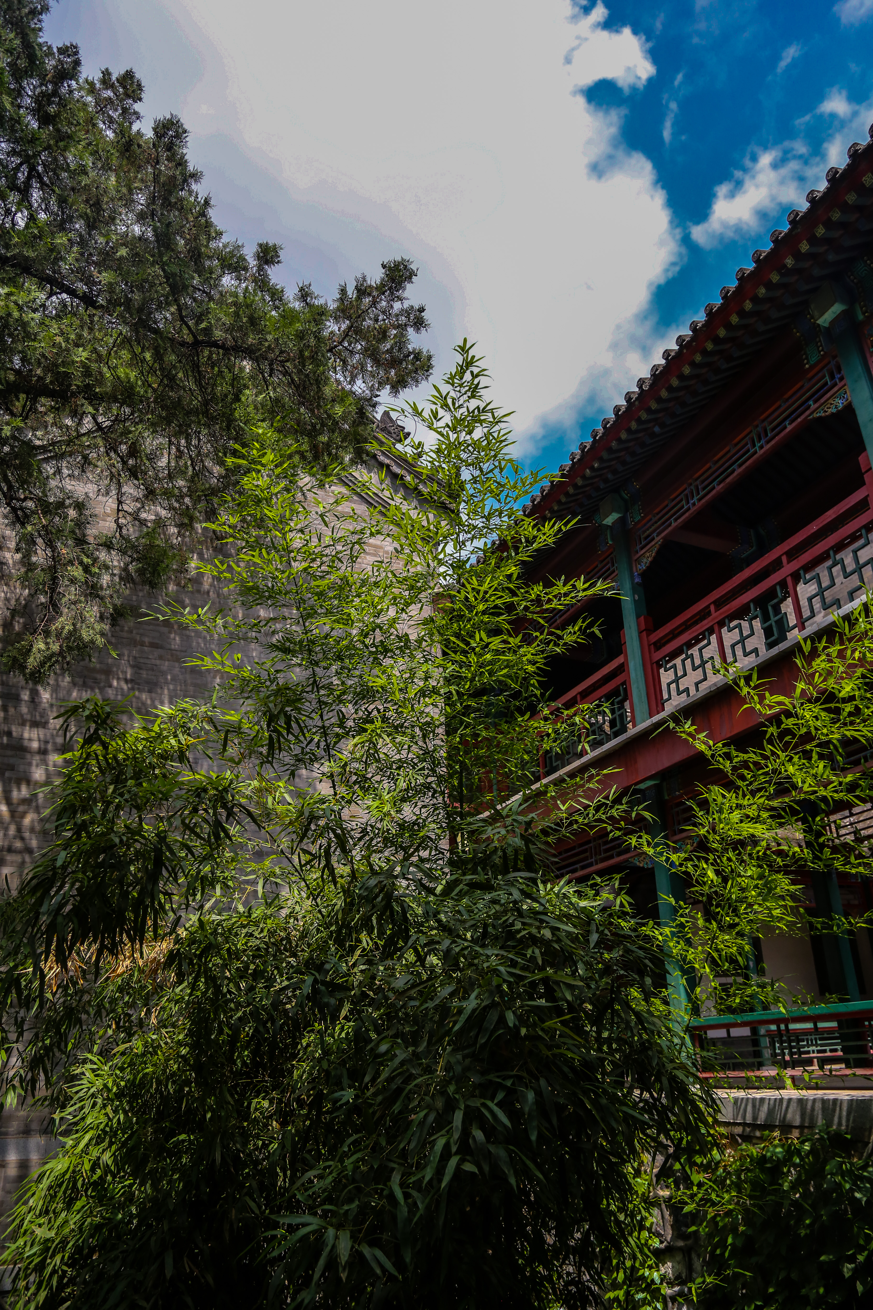 保定市古莲花池夜景,保定古莲花池美照