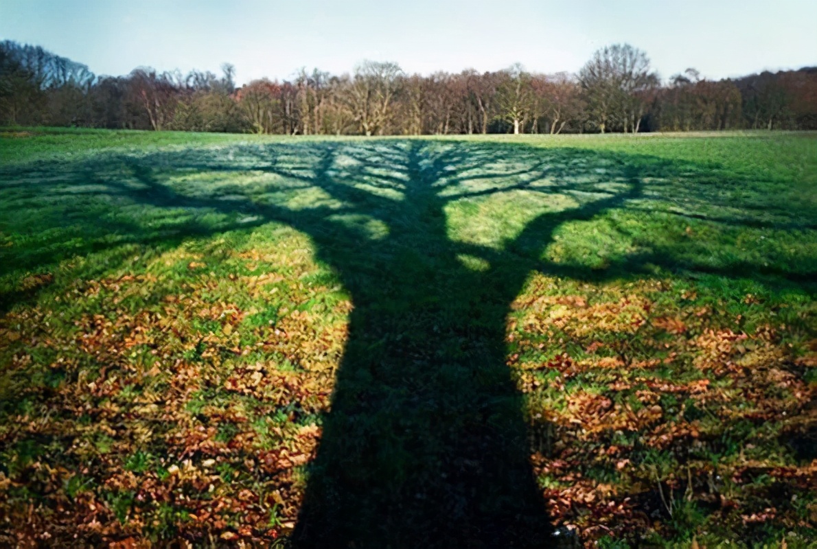 有城府的人一般说话较谨慎,有城府的人懂得隐藏这三个秘密