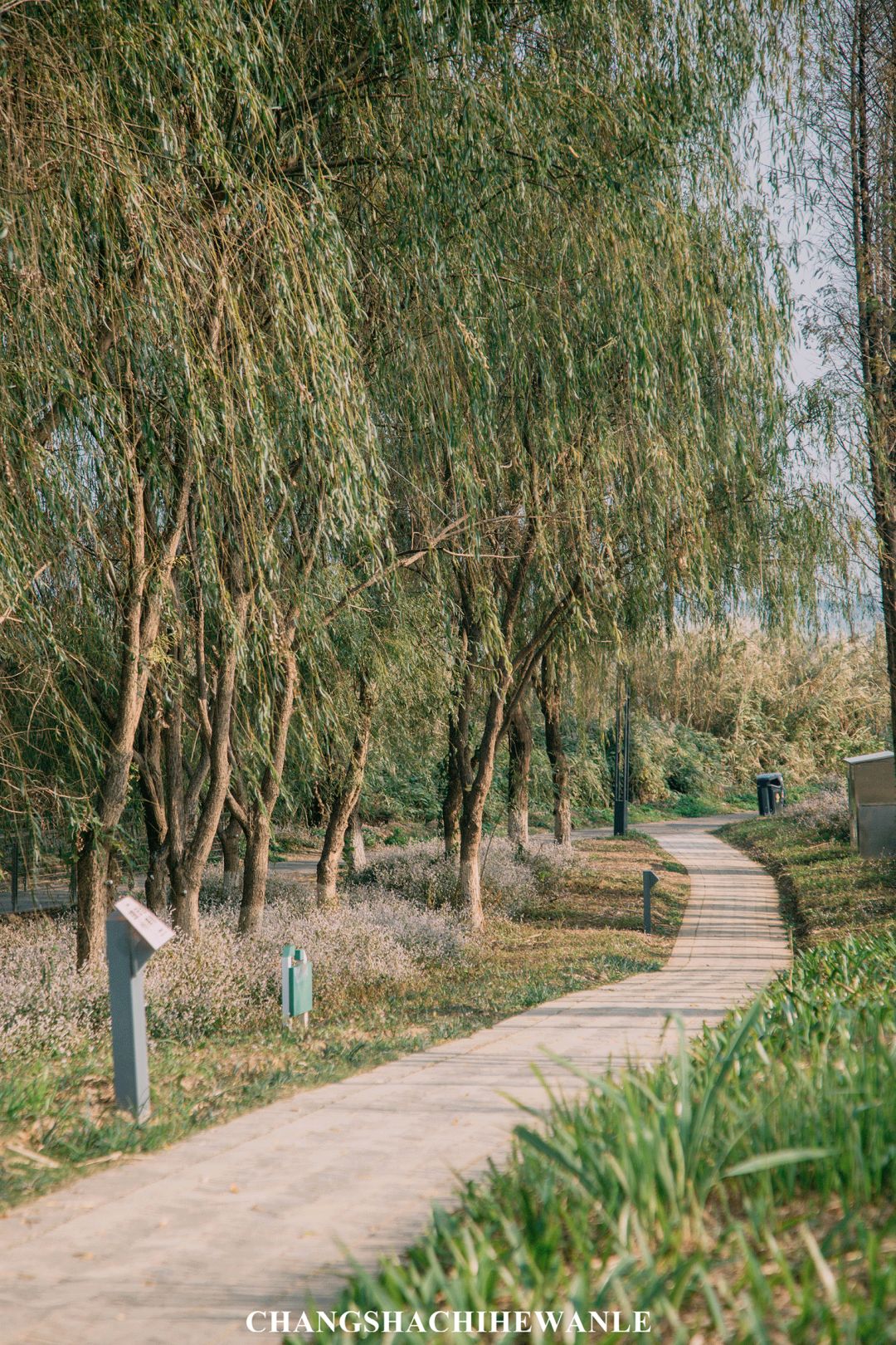 长沙岳麓区适合一个人去的地方,五一长沙岳麓区哪里好玩