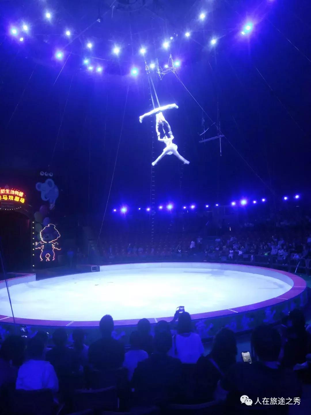 上海野生动物园国际马戏,上海野生动物园的马戏剧场演多久