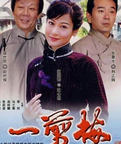 100部必看经典电视剧列表,一生必看的100部经典电视剧