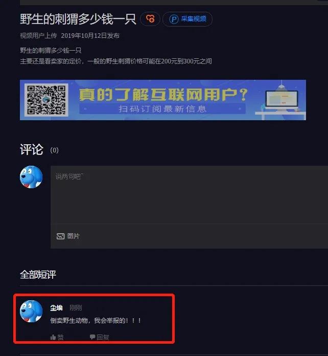 野生小刺猬有几种,野生小刺猬在哪里
