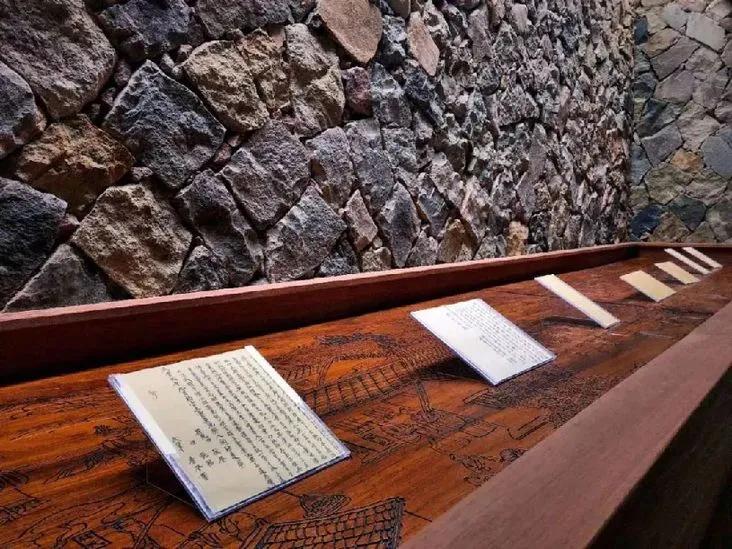 有着双重人生的小城青田，你对它的实力一无所知