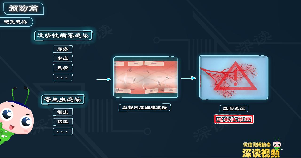 蚊虫叮咬导致过敏性紫癜,过敏性紫癜被蚊虫咬
