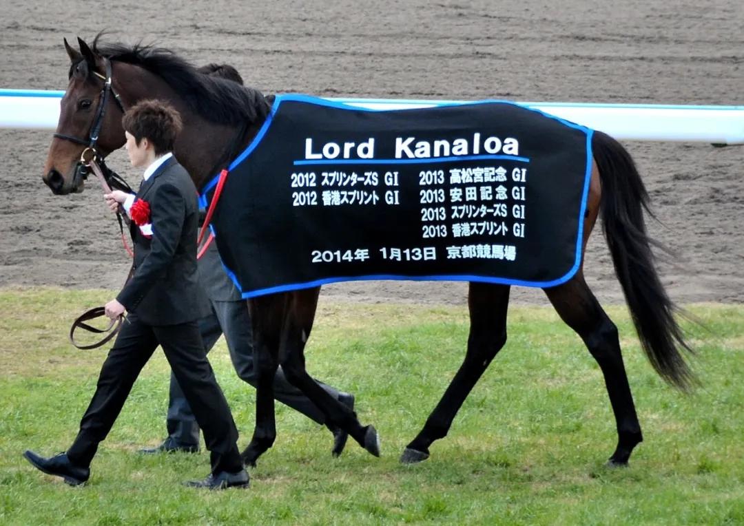 日本种公马“龙王”之子“众神之首”斩获澳洲700万奖金蓝钻锦标