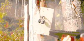 盘点电影中的花式开锁,电影中的一枪开锁在现实能做到么