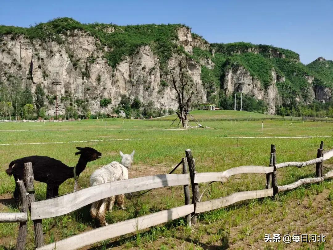因疫新生｜|玉米冒险村8月8号喊你来嗨