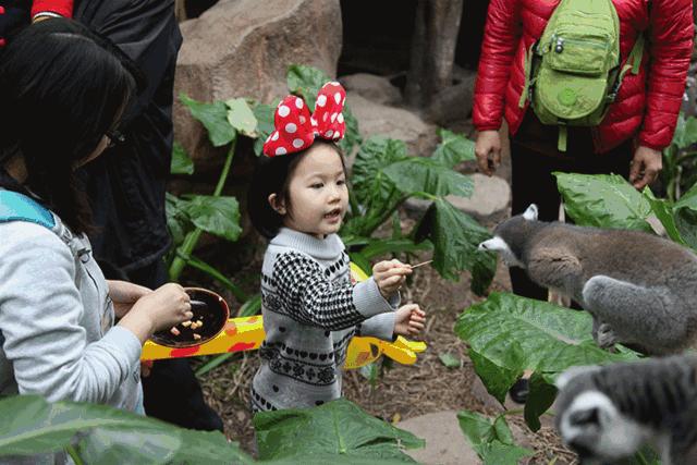 中秋国庆仅138元，两人同行玩转5A长鹿旅游休博园+童话动物王国