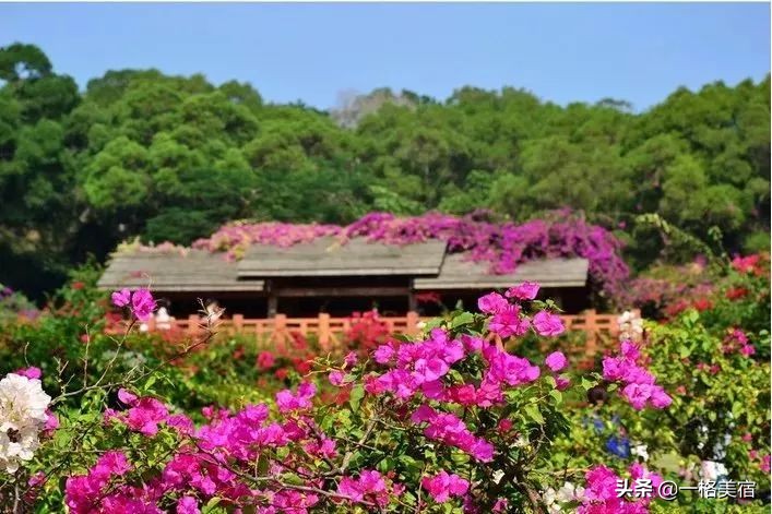 厦门五日游必去十大景点有哪些,厦门一日游必去的五个景点