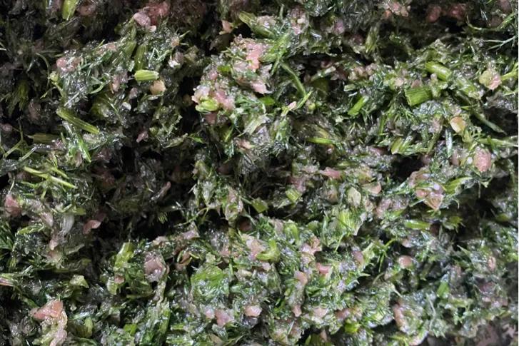 茴香鲜肉饺子鲜美极了,茴香猪肉饺子的正宗做法